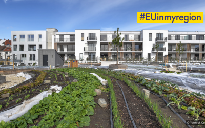#EUinmyregion: Europa wordt gekweekt op de daken! Een unieke rondleiding!