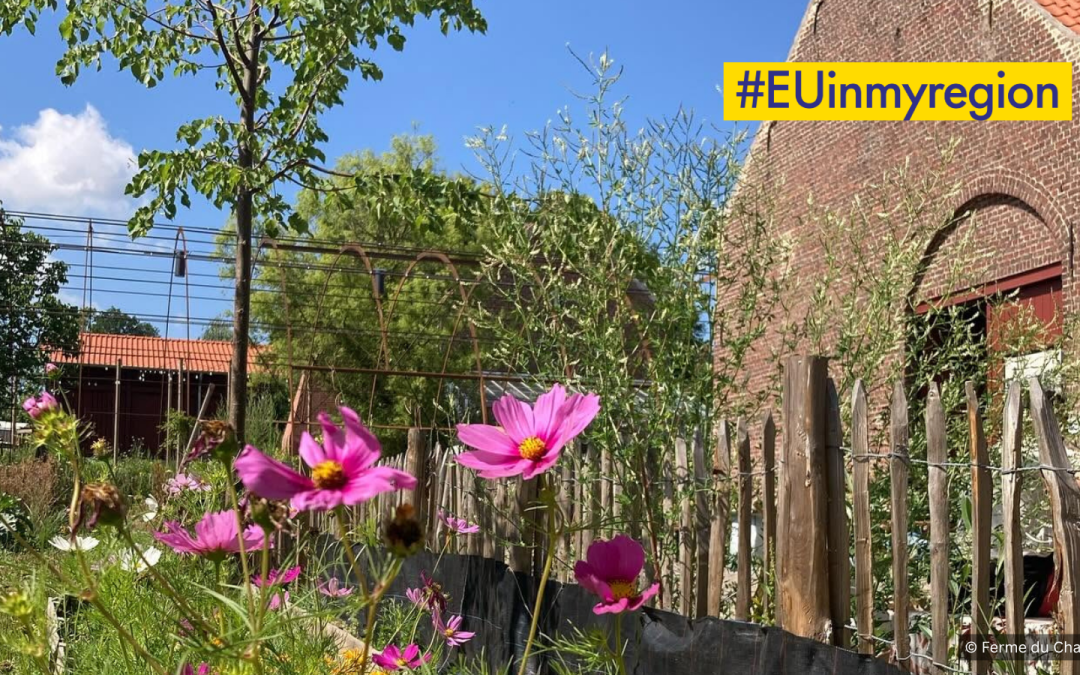 #EUinmyregion en de Ketelhoeve: Gratis rondleiding met Clara